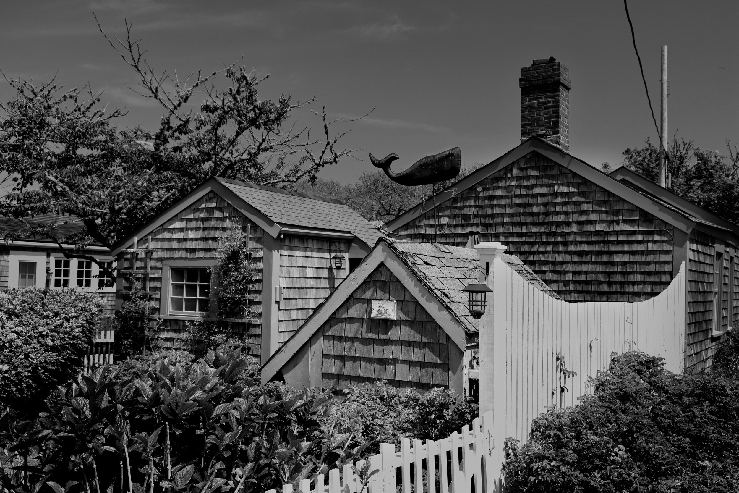 Saltbox Stories