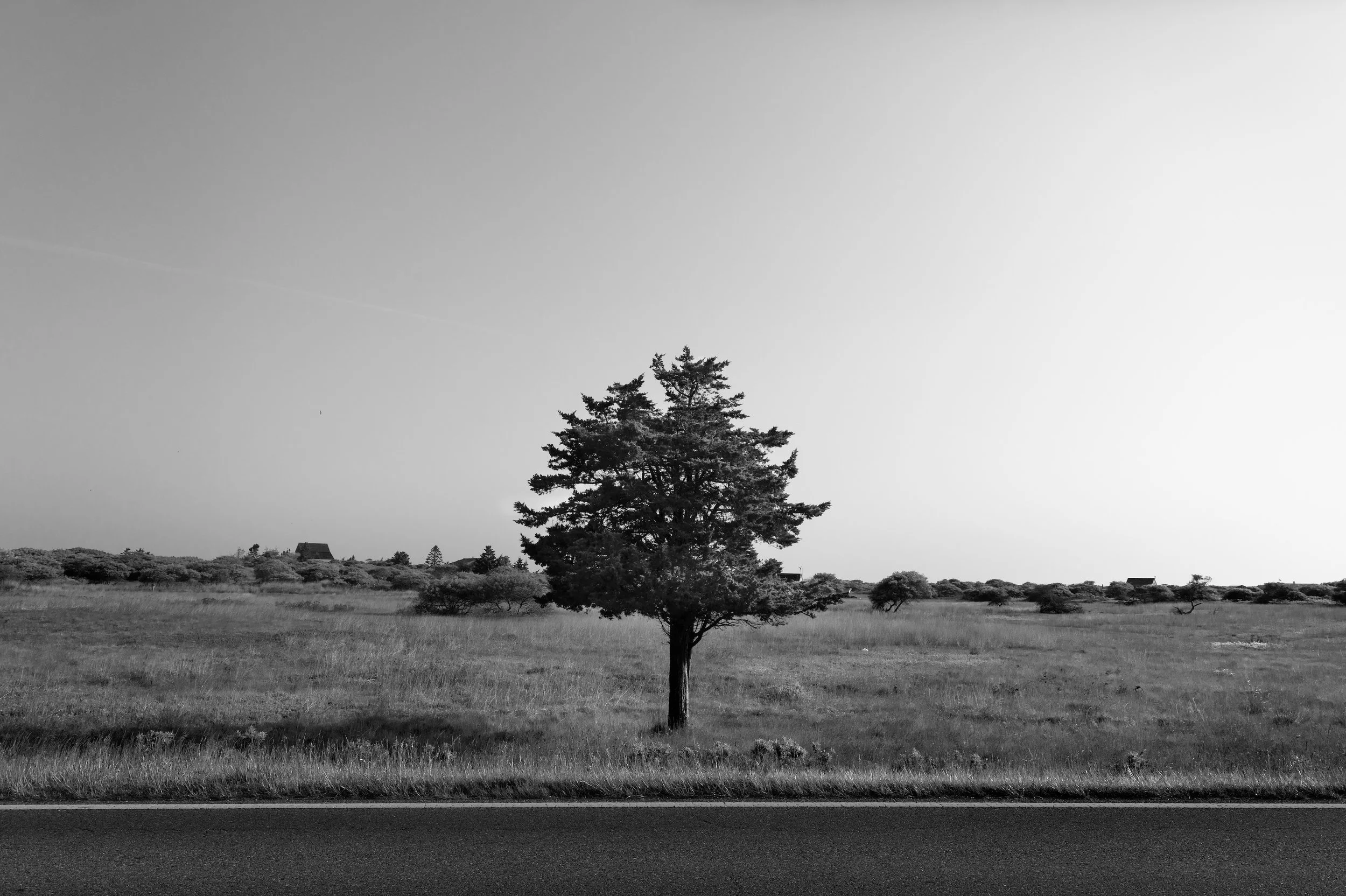 The Fairway Guardian