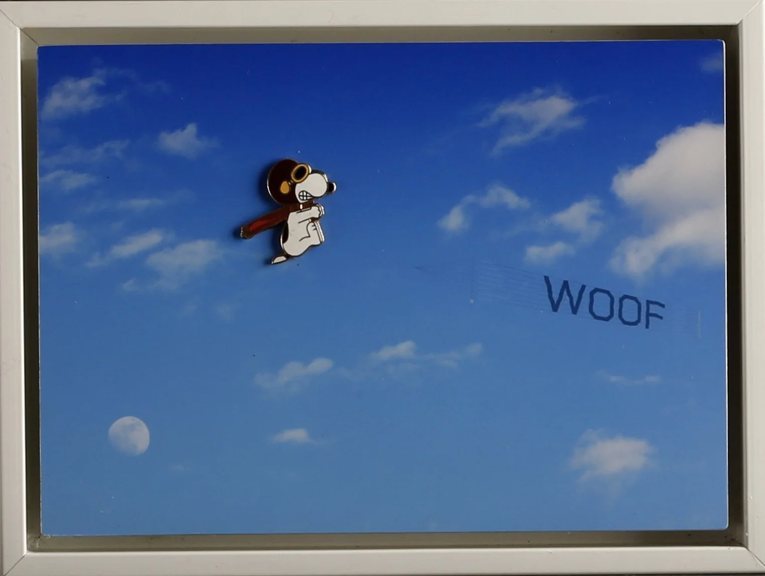 Snoopy Skyward Journey