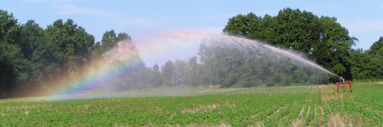 Irrigation.jpg