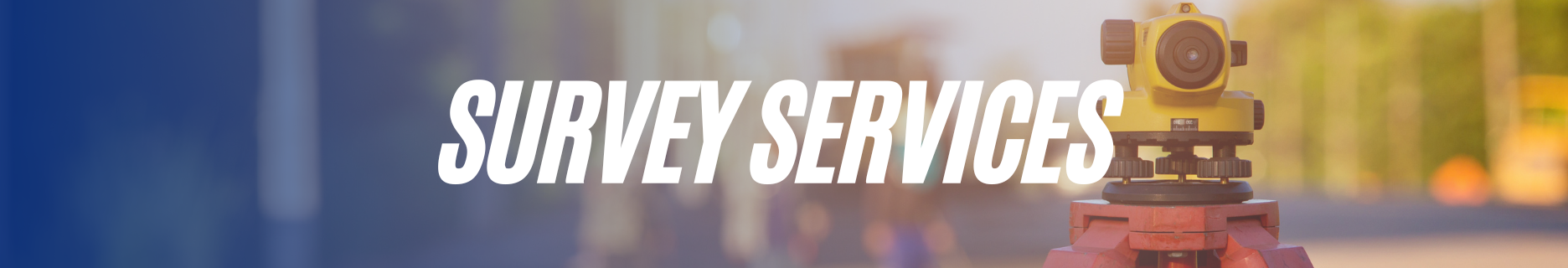 Survey header.png