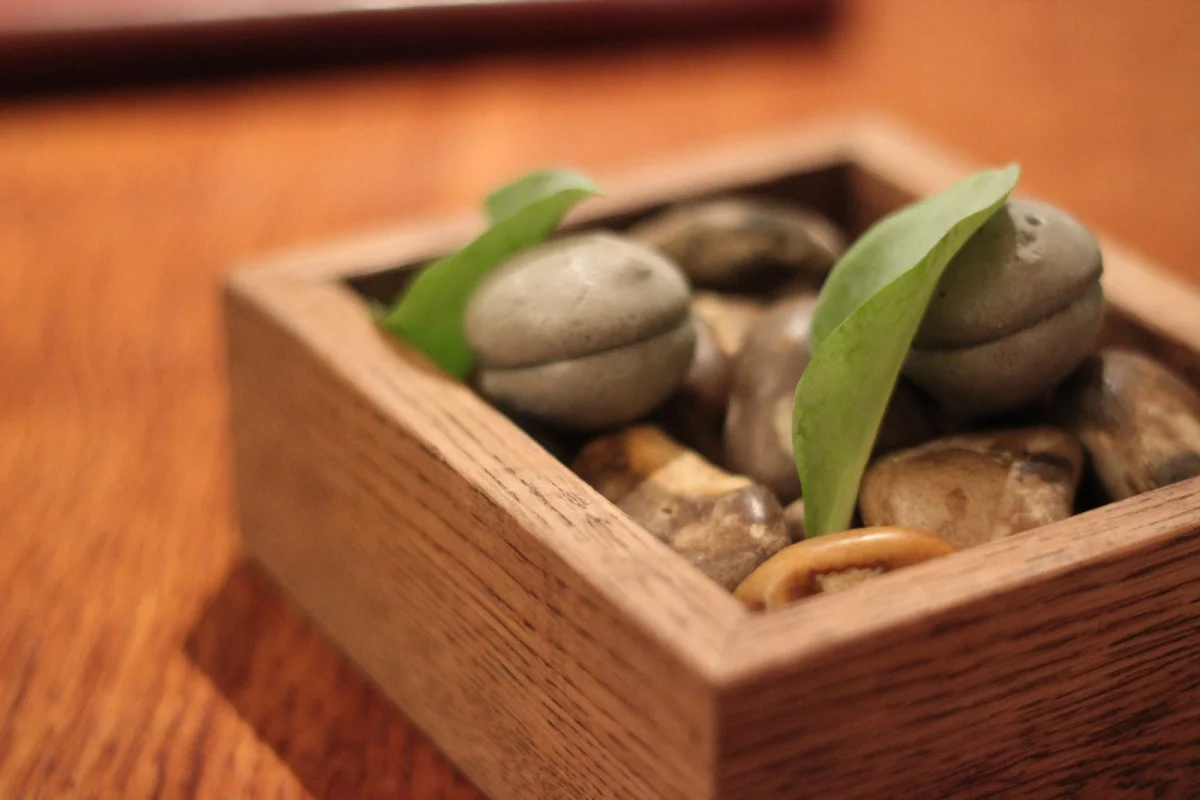 Oyster Pebbles