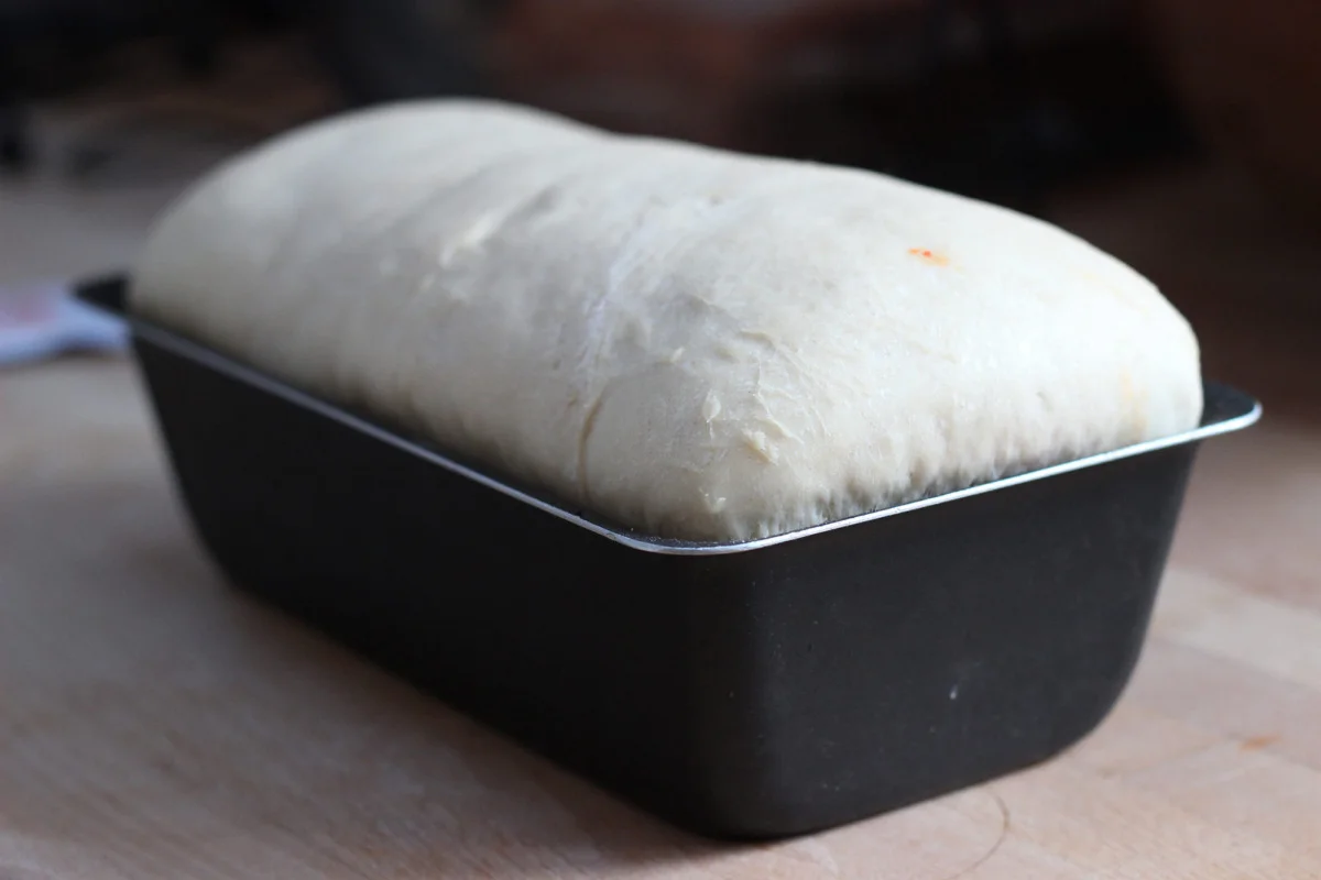 Swirl Bread Proving