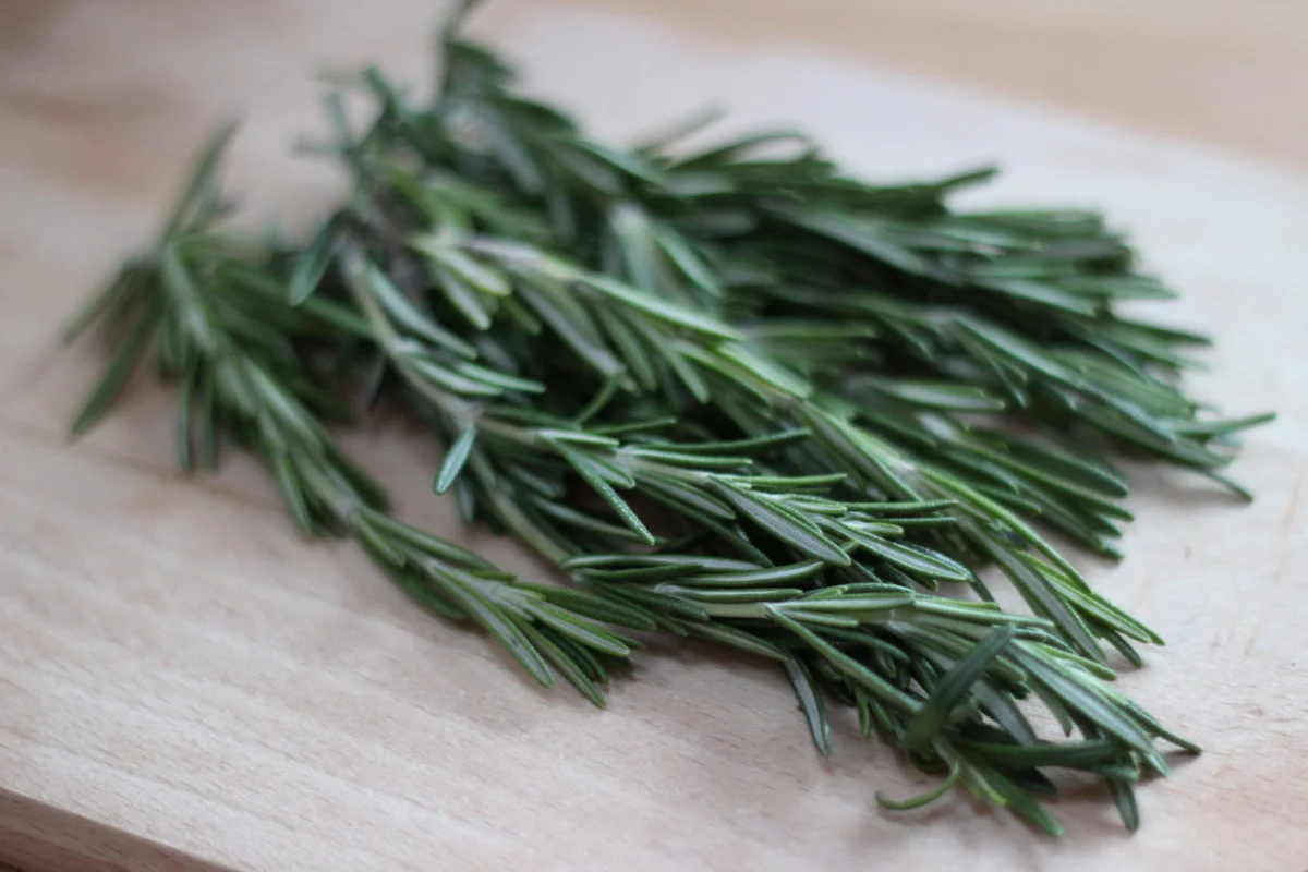Rosemary