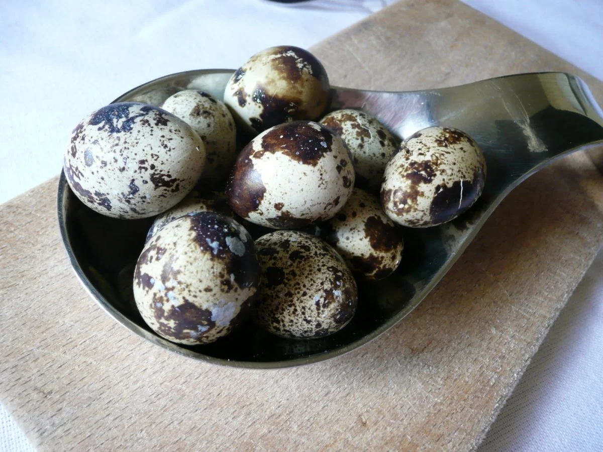 Quails Eggs
