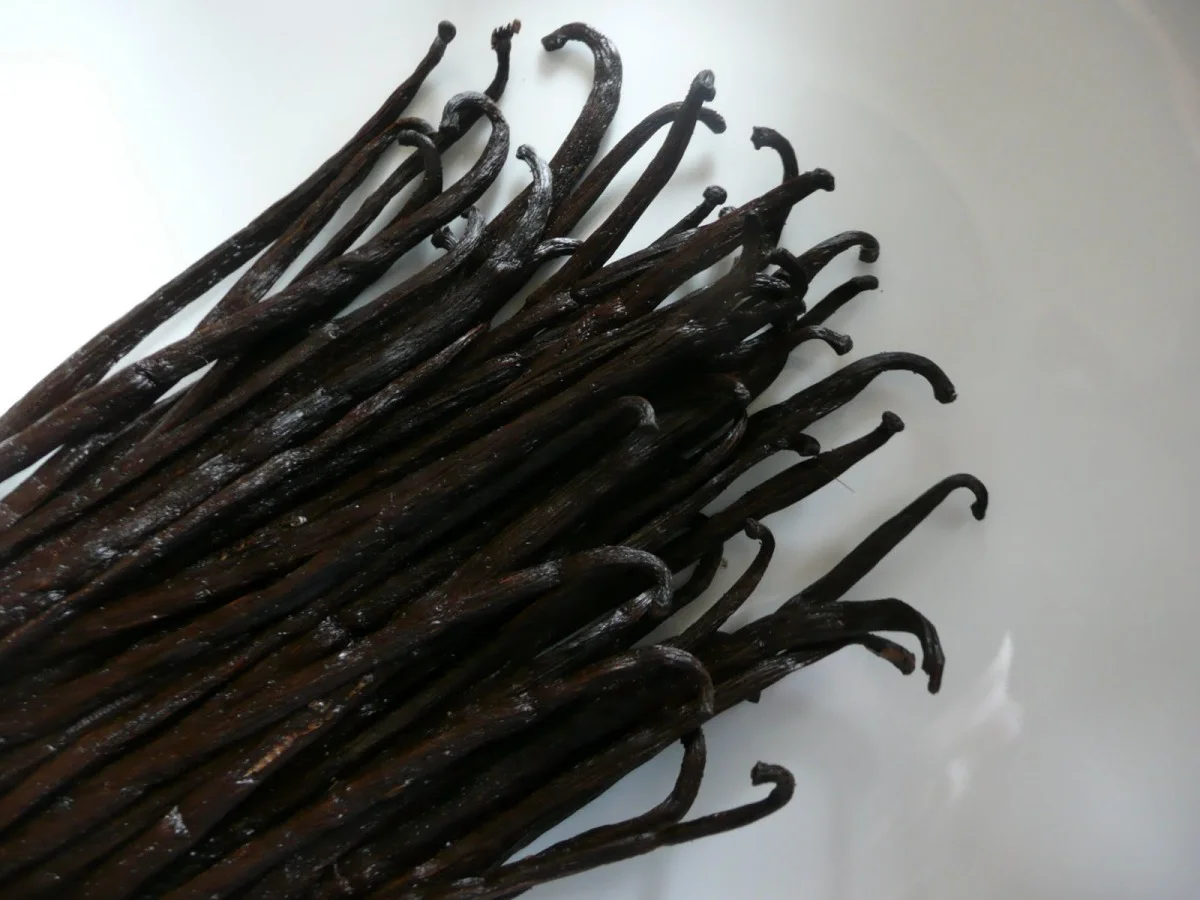 Vanilla