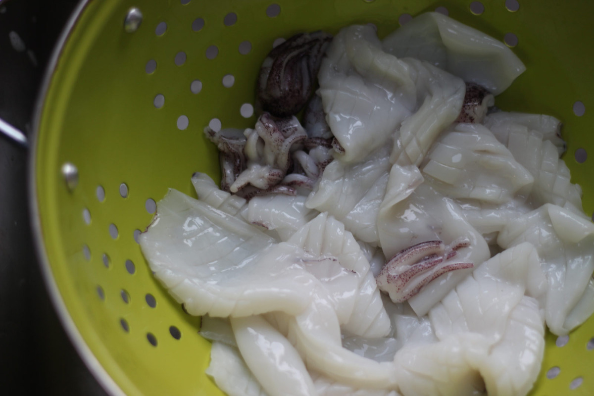 Raw Squid