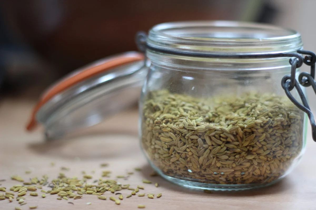 Fennel Seeds