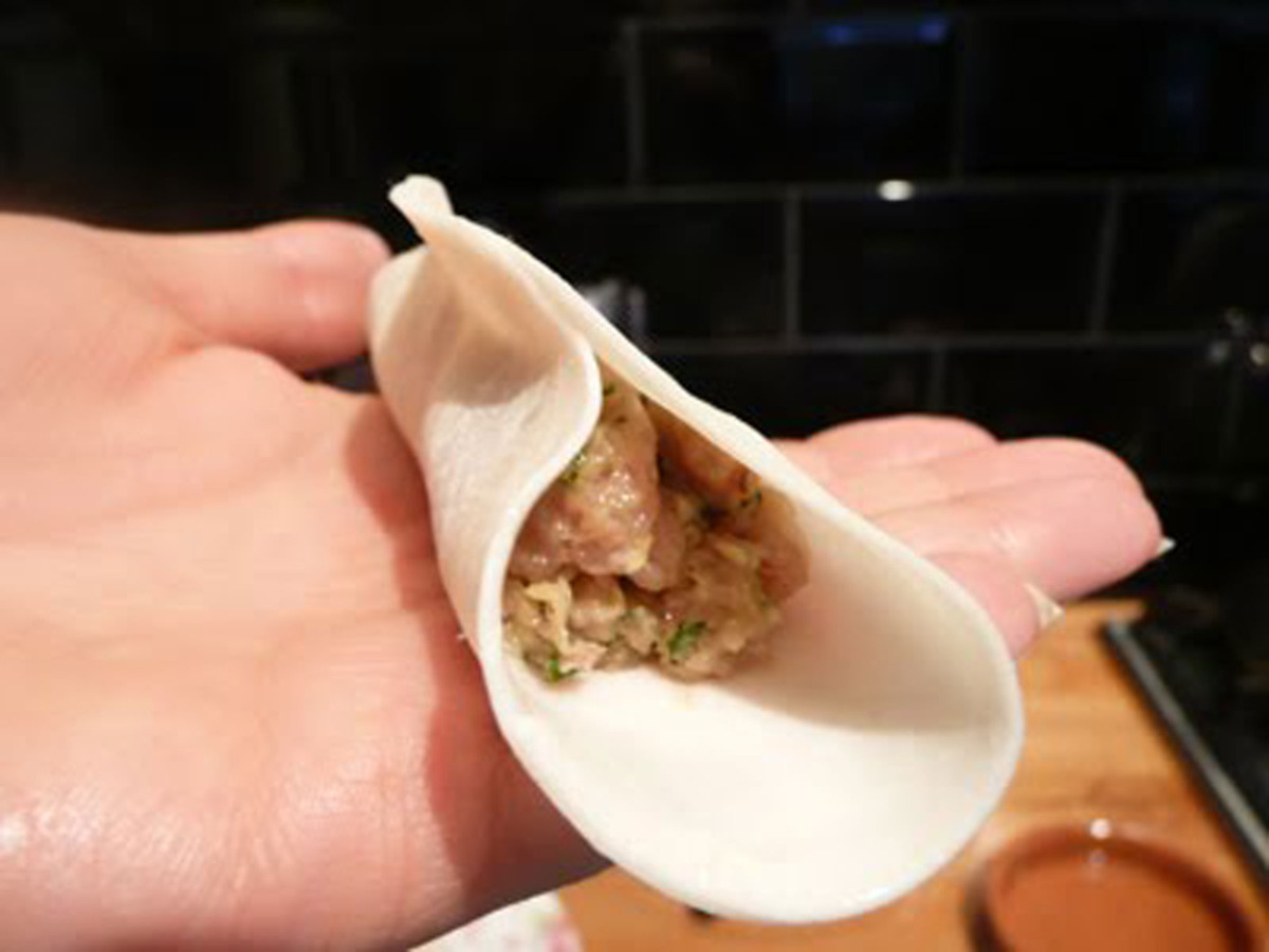 Gyoza Wrapping