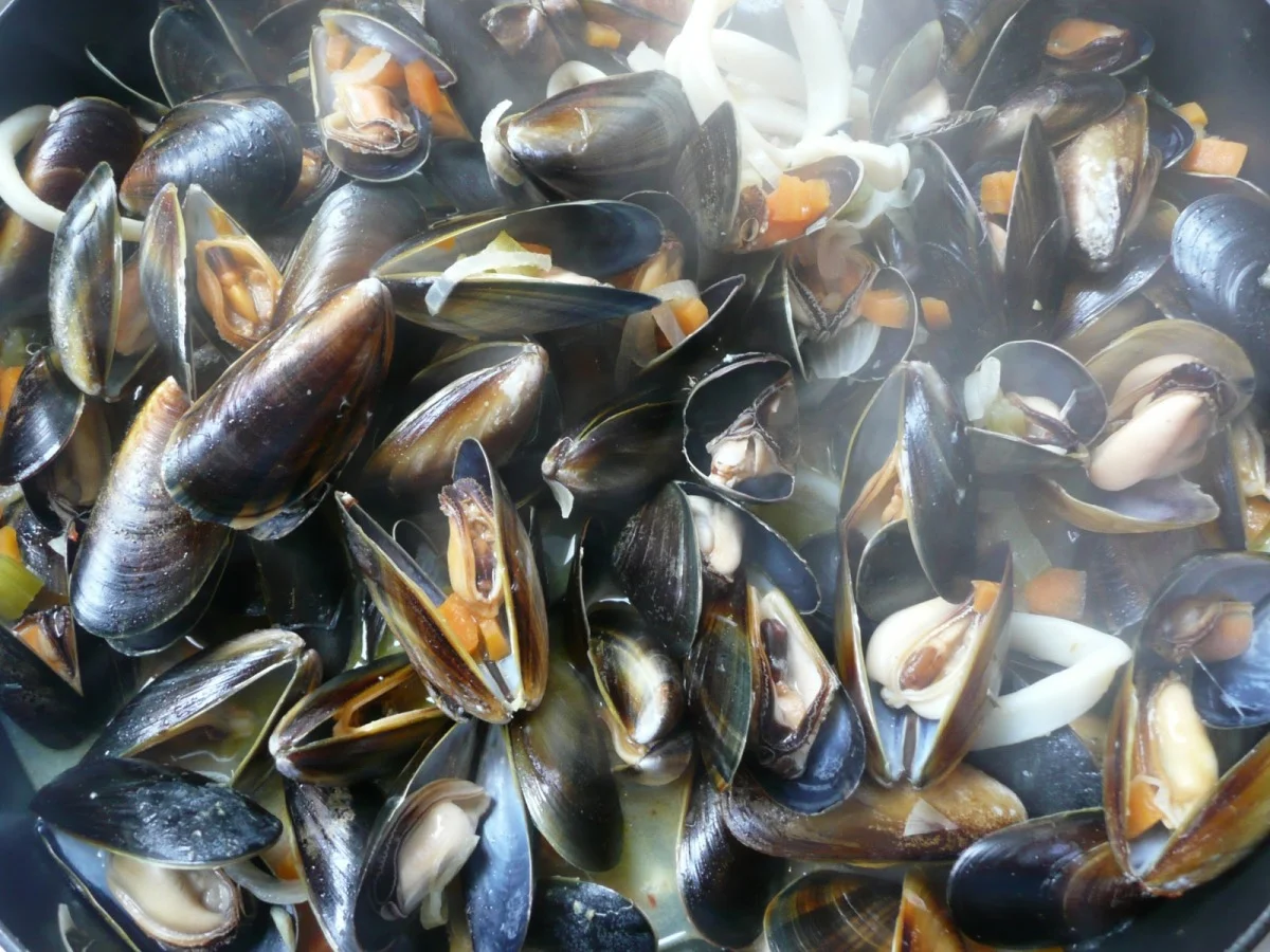 Mussels