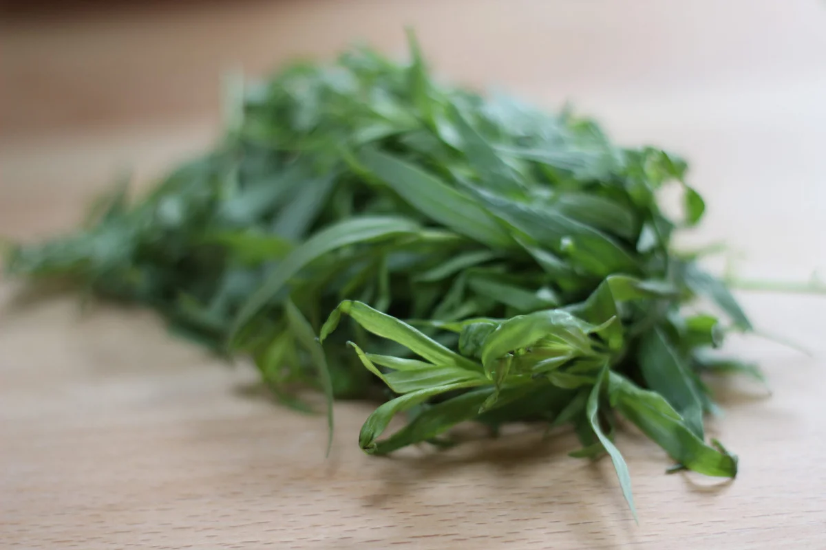 Tarragon