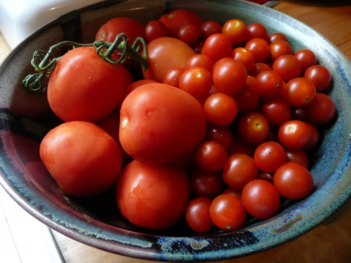 Tomatoes