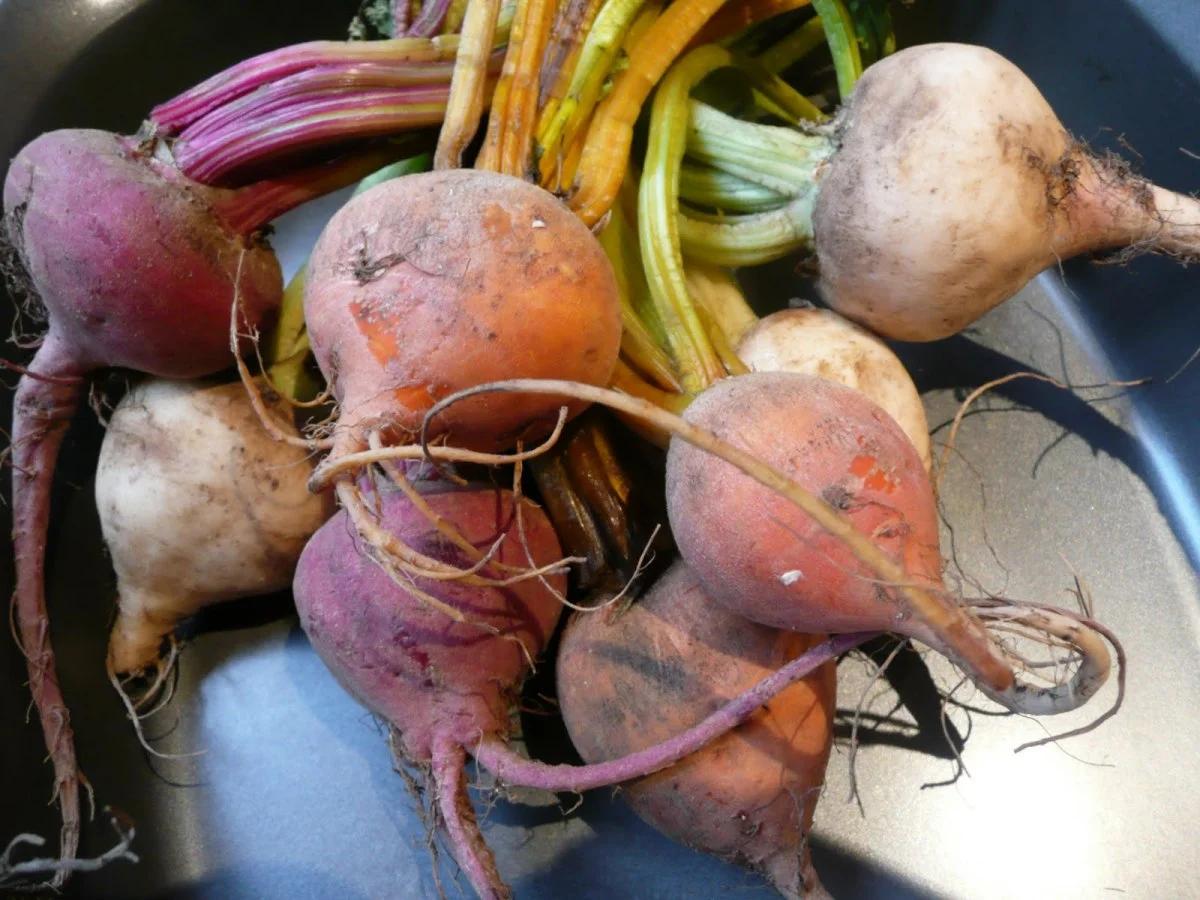 Beets