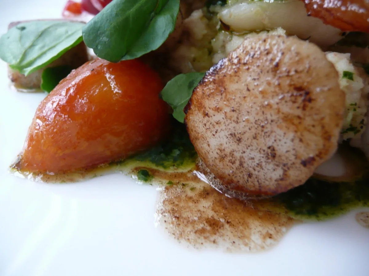 Scallop