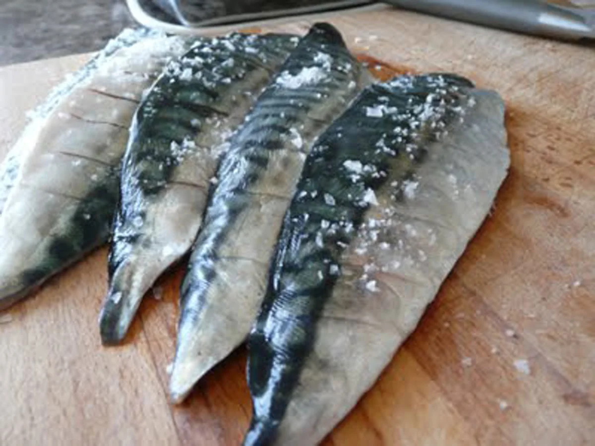 Fresh Mackerel