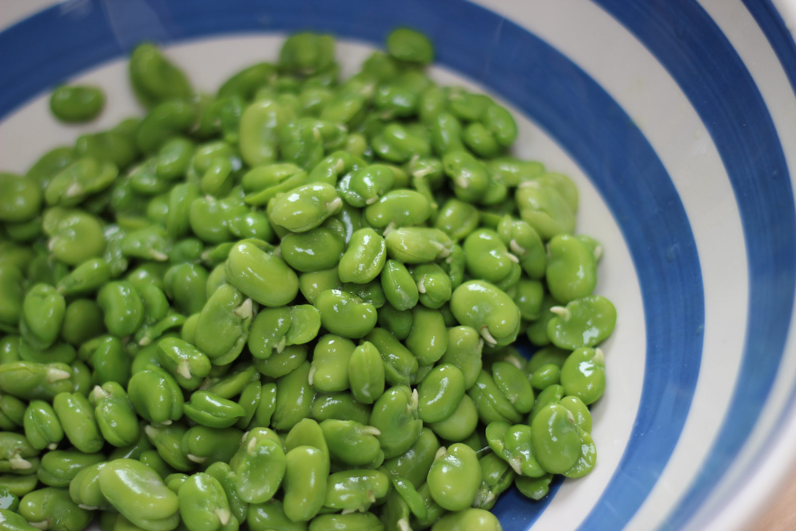 Broad Beans