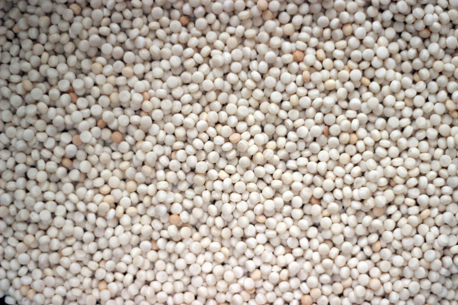 Cous Cous