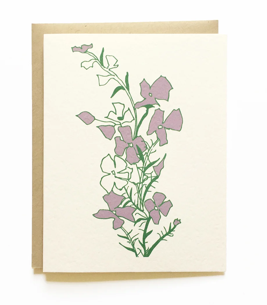Larkspur
