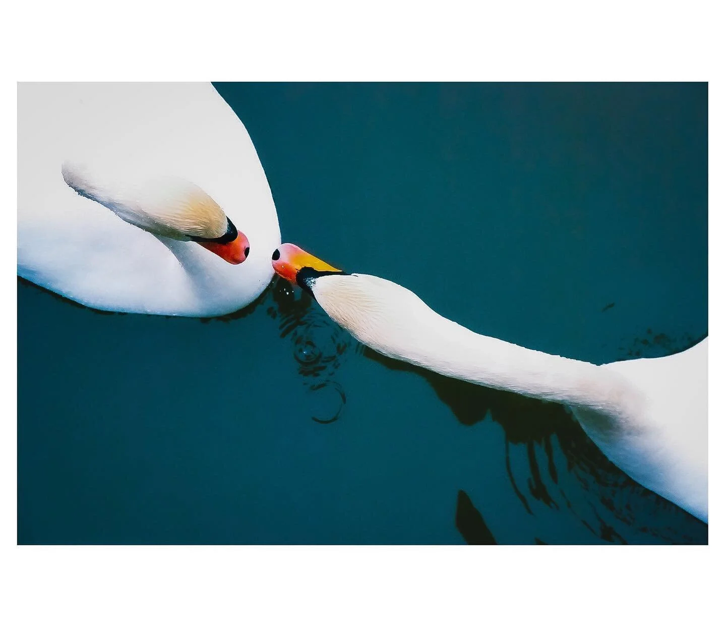 Hyv&auml;&auml; itsen&auml;isyysp&auml;iv&auml;&auml;.🇫🇮