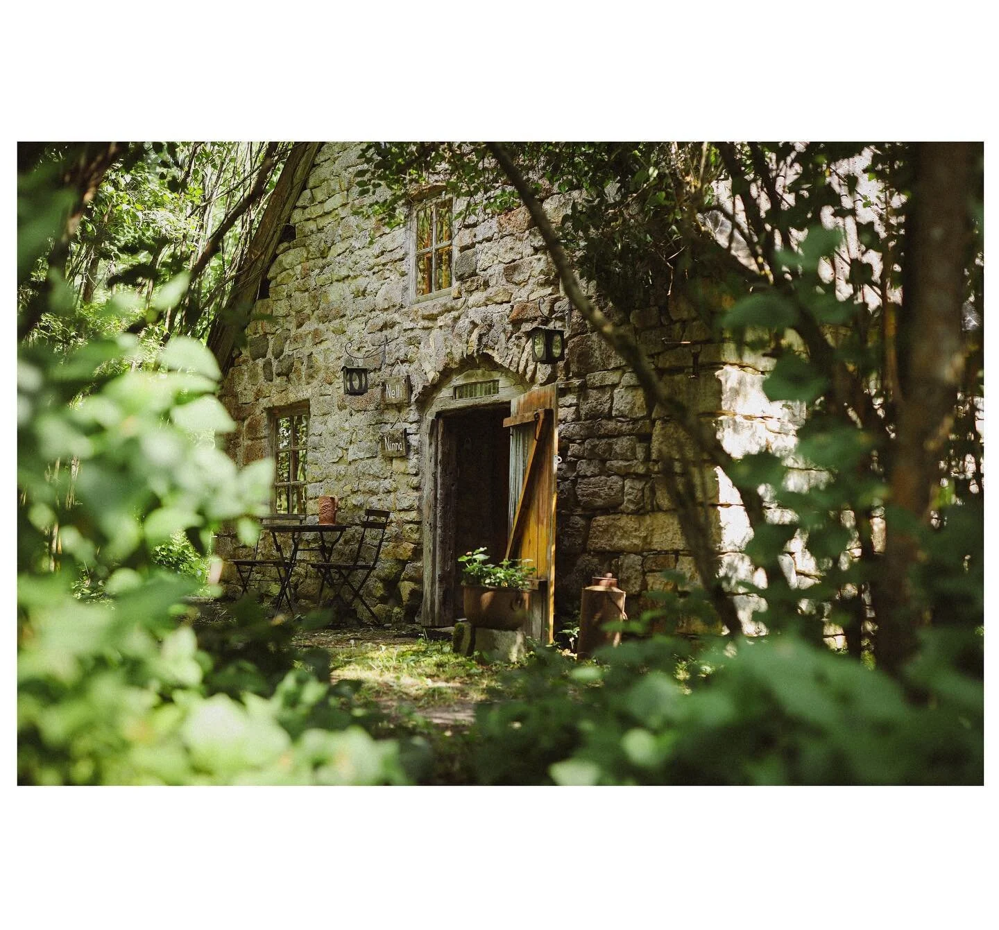 Jos kes&auml;n lomasuunnitelmat on viel&auml; auki, niin suosittelen l&auml;mpim&auml;sti meid&auml;n ihanaa paratiisia Saarenmaalla. Metsara B&amp;B:t&auml; py&ouml;ritt&auml;&auml; meid&auml;n &auml;iti ja isk&auml;. Metsaran tunnelma on jokaisen k