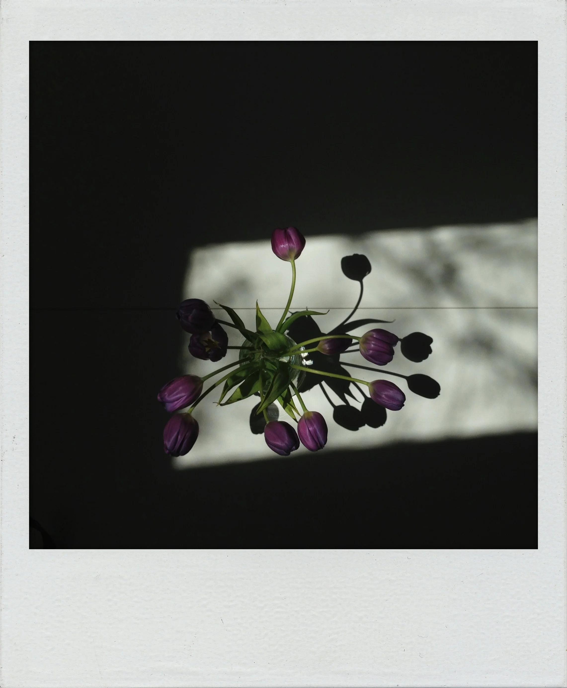 CHASING LIGHT