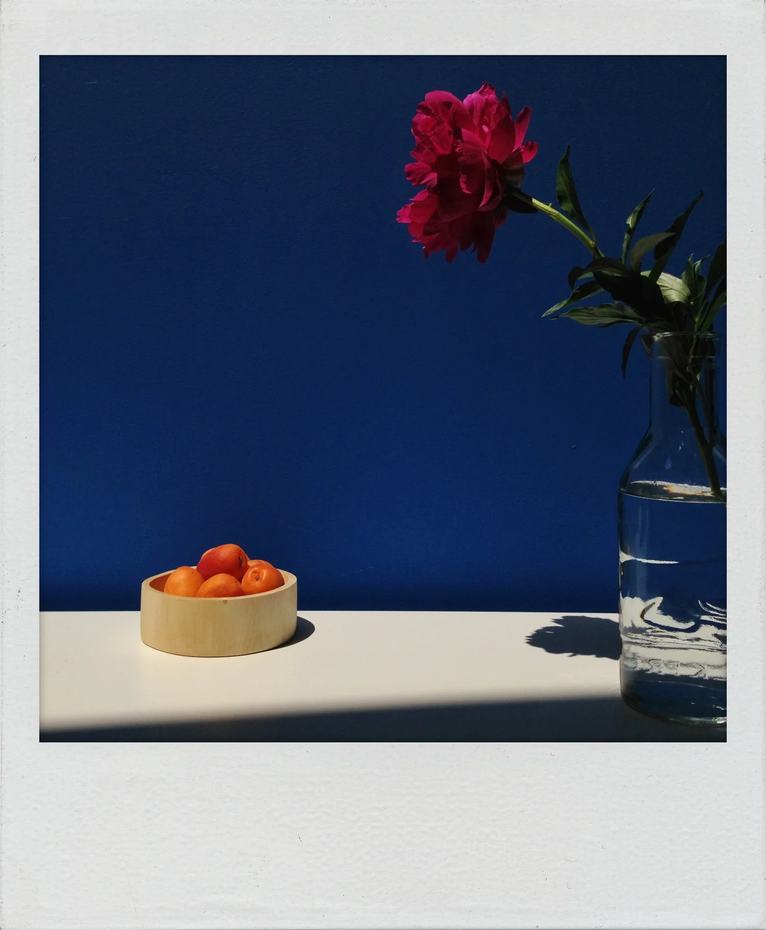 Peony_Roid-9939.jpg