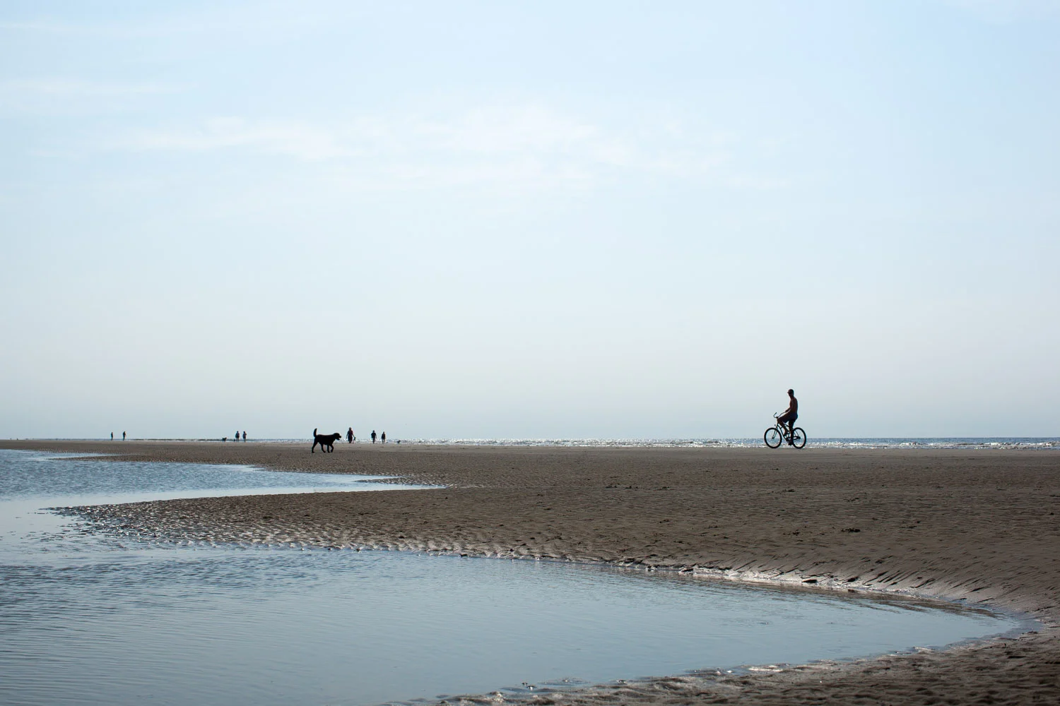 SullivansIslandHappyPpl-5536.jpg