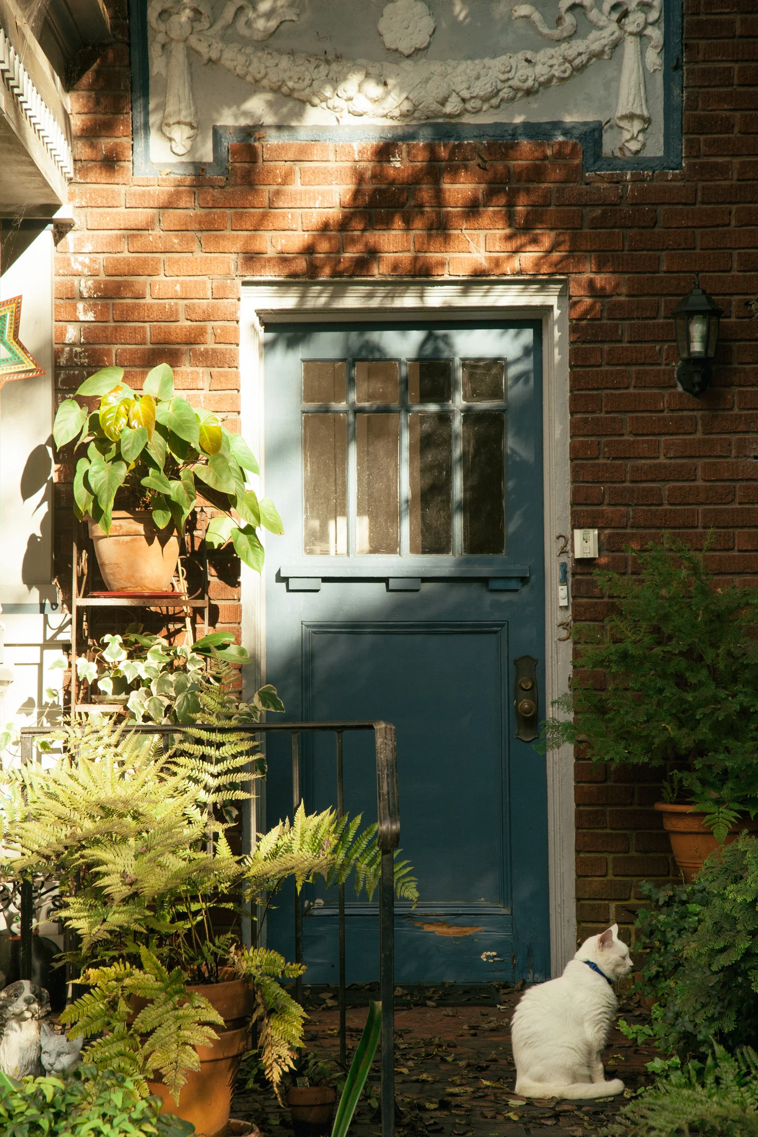 VH_Cat-6034.jpg