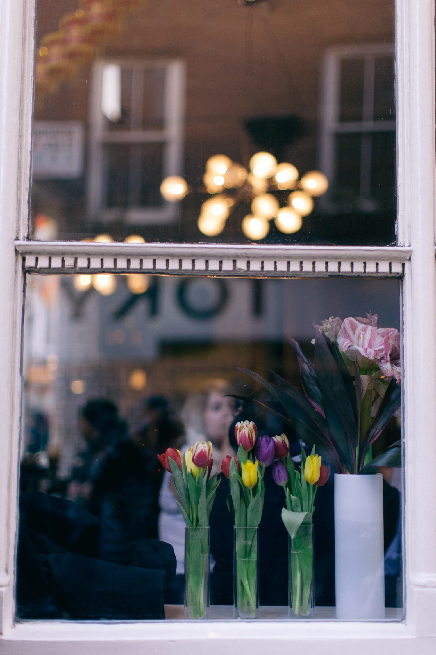 chinatown_window-0139.jpg