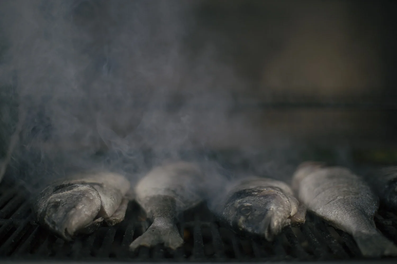 FishWeekend-1884.jpg