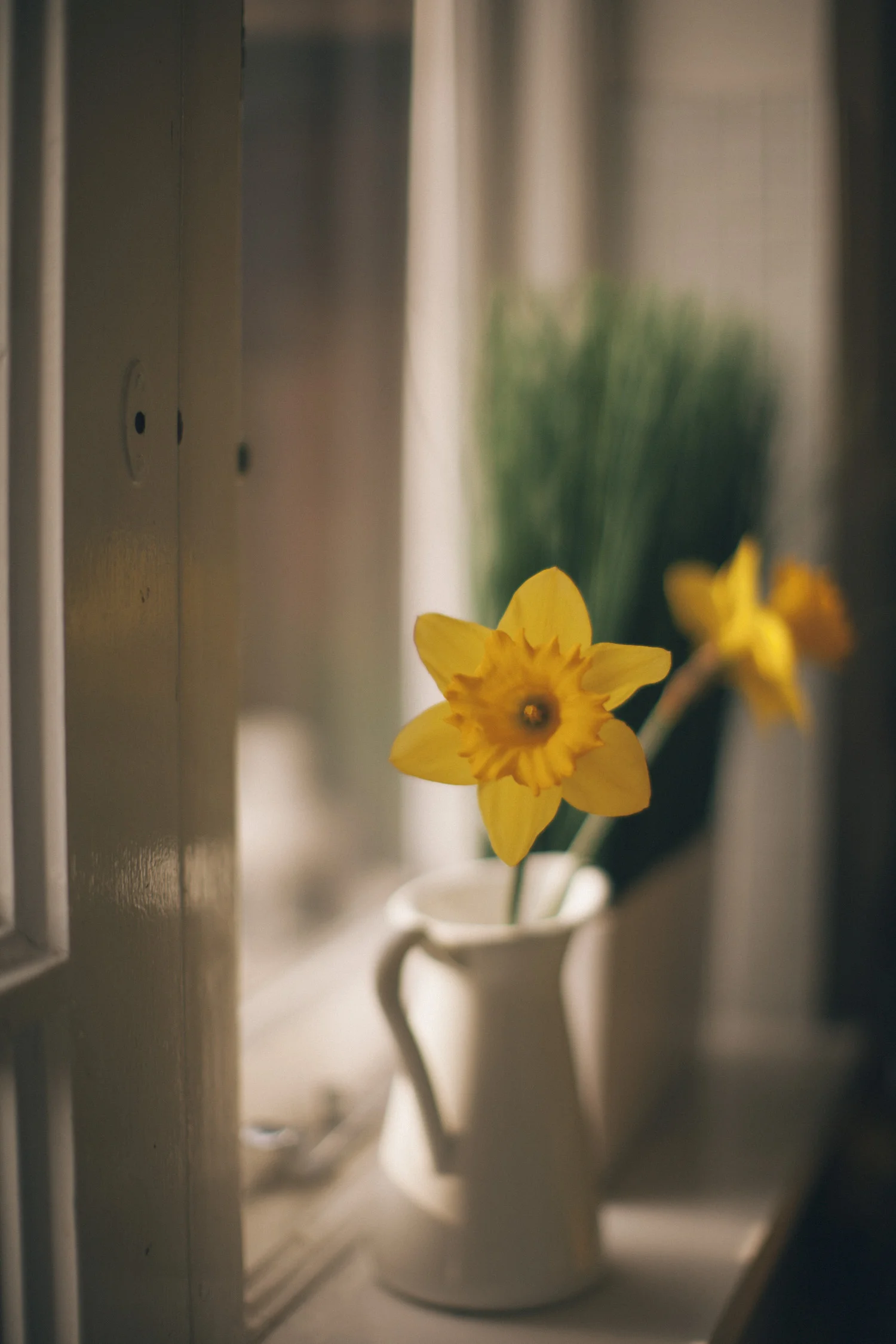 dafswindow-2386.jpg