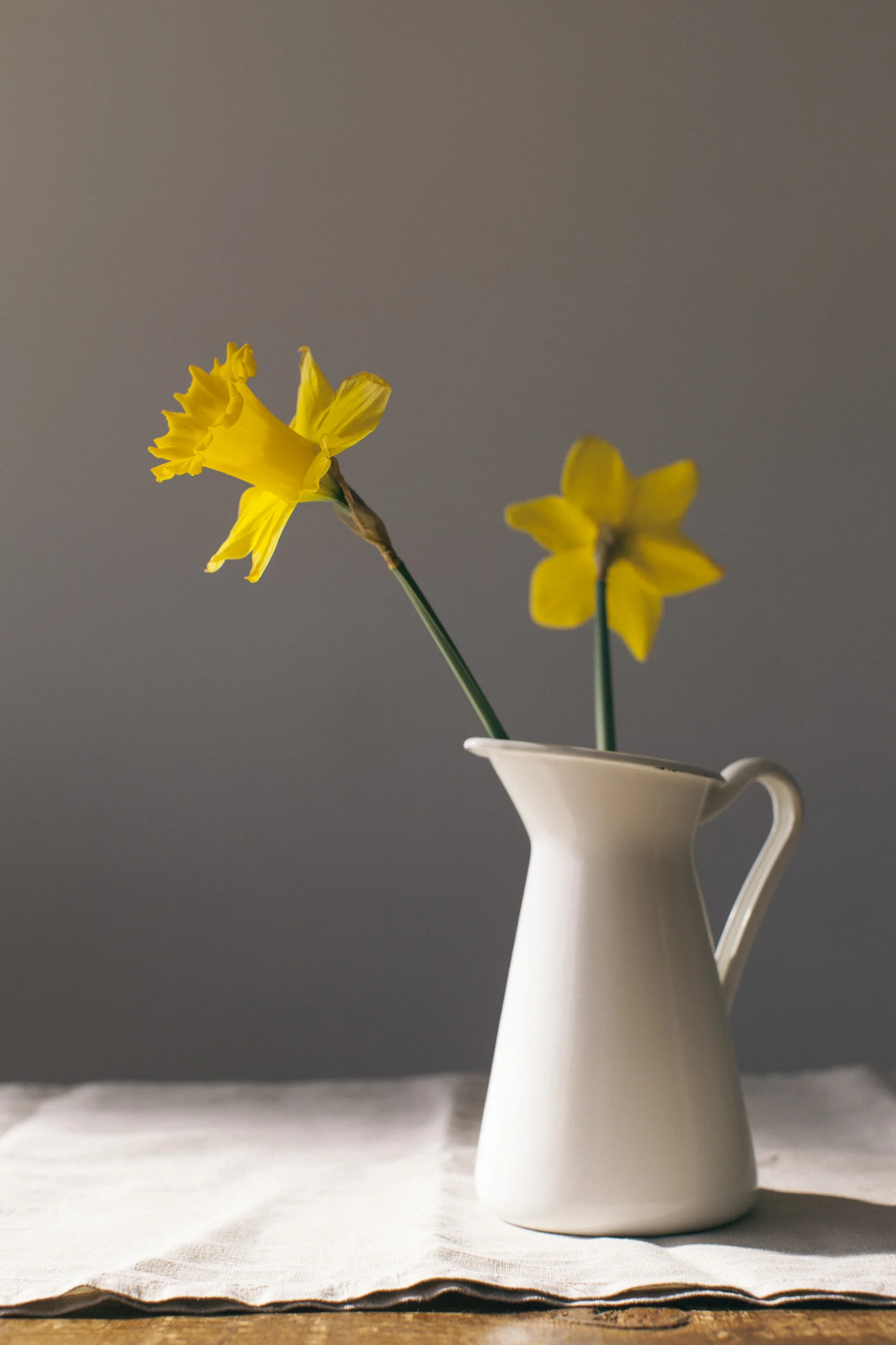 Dafs-2566.jpg