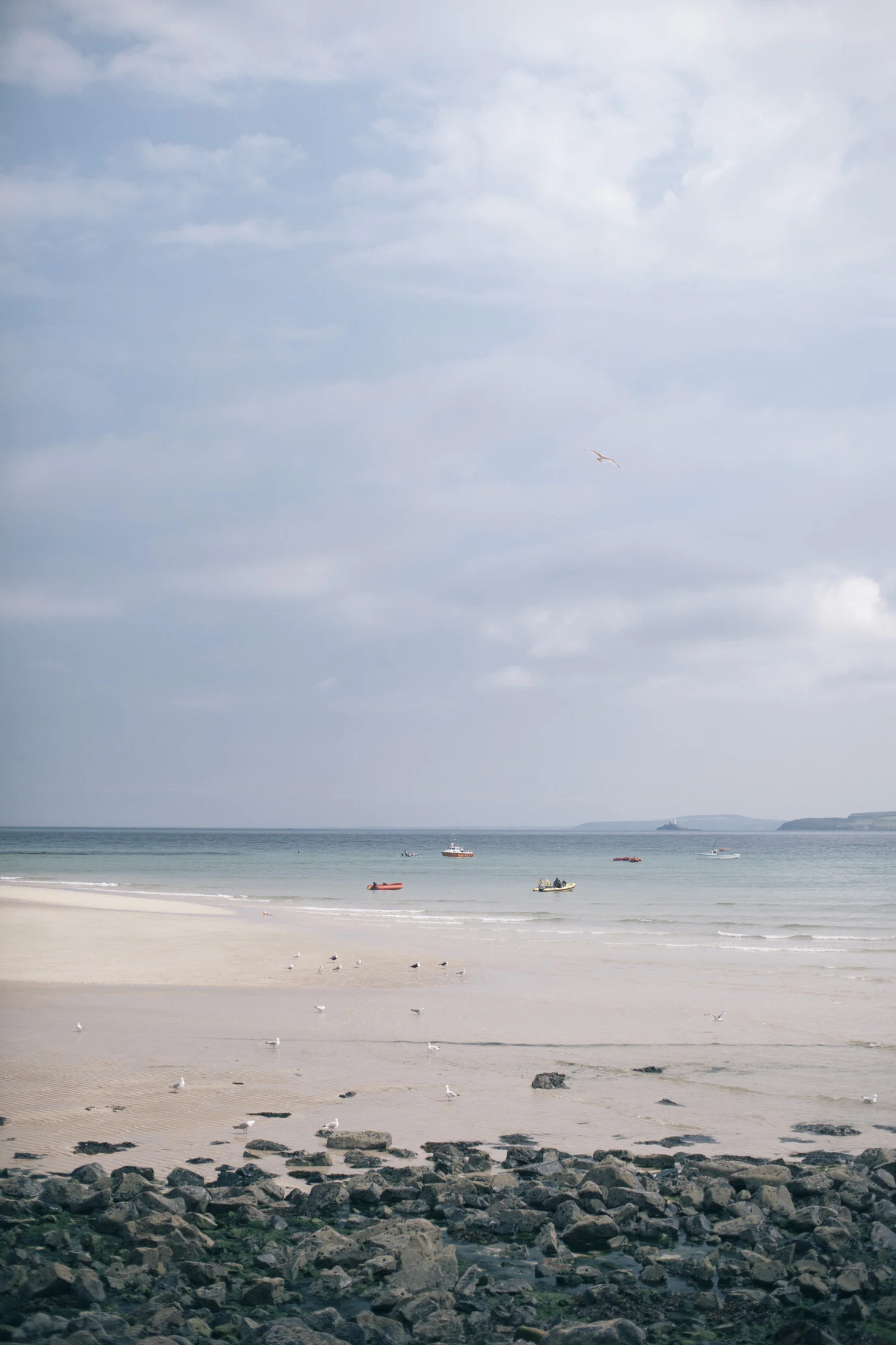 seacreatures-2.jpg