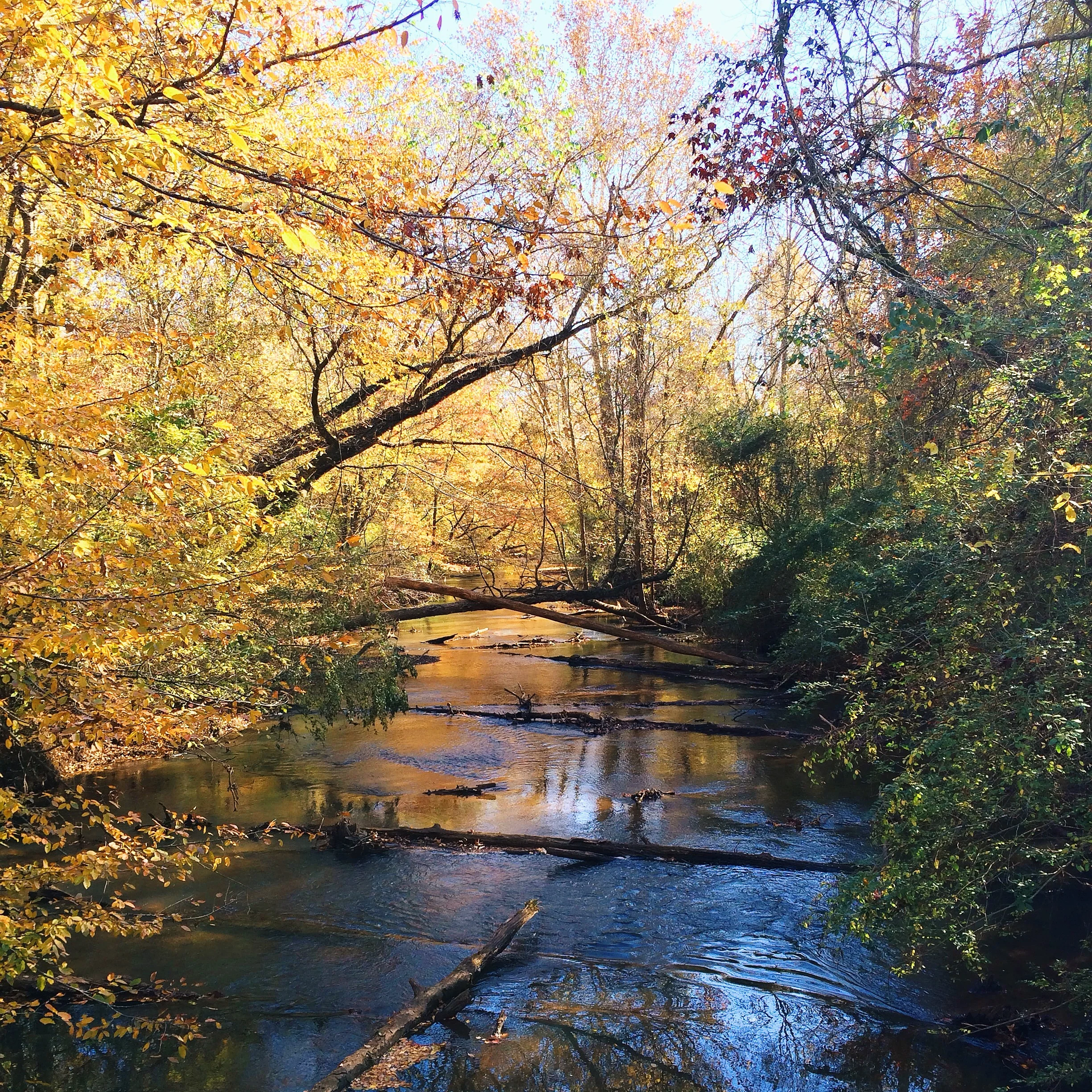 photo 5.JPG
