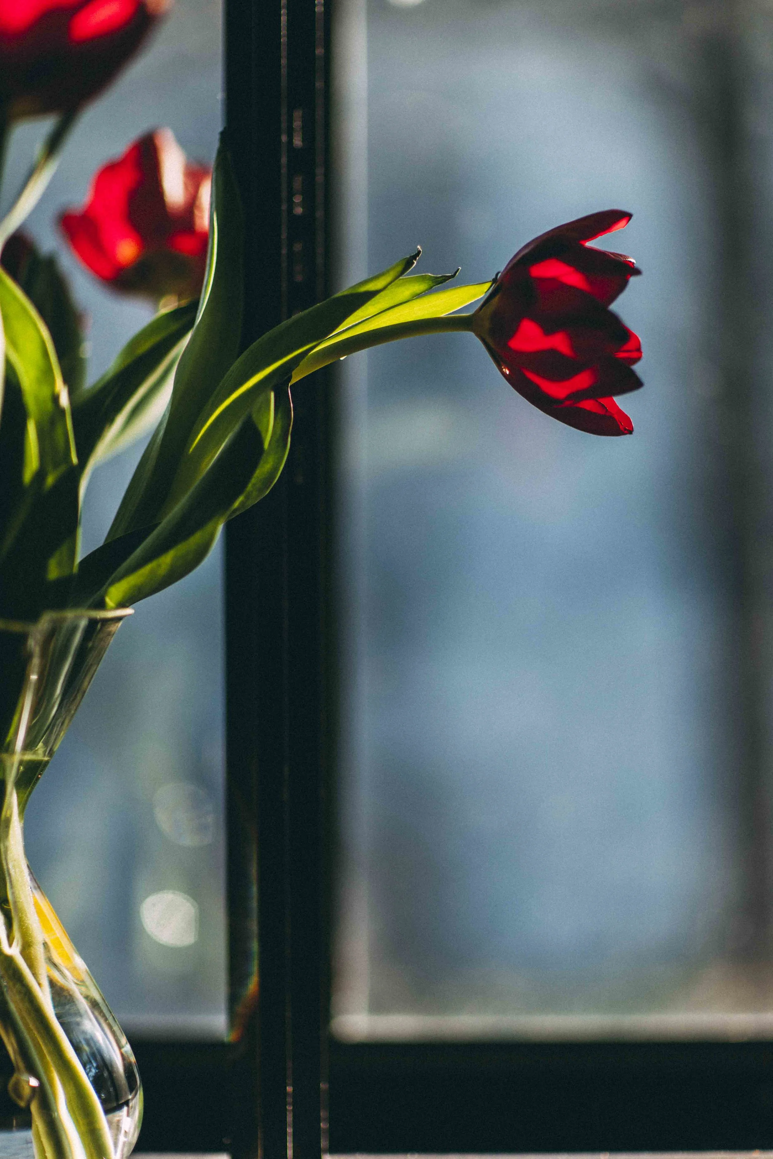 window-1073.JPG