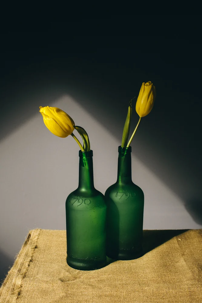 Tulips-3243.JPG