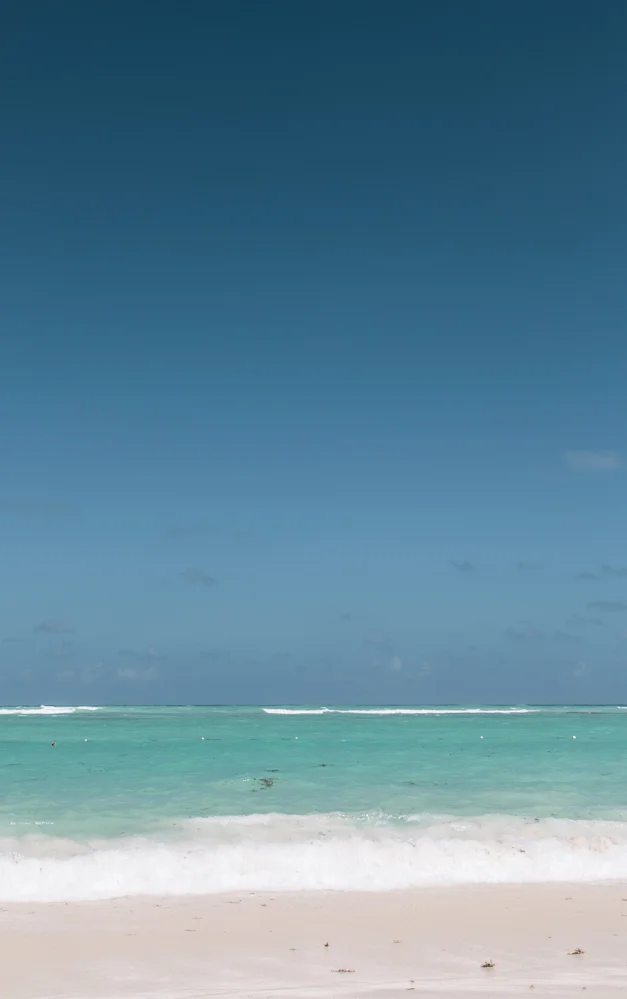 AlmostWhiteSand-2266.JPG