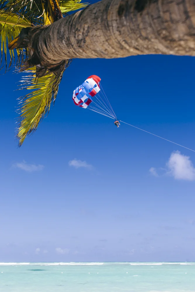 FlyingHigh-2284.JPG