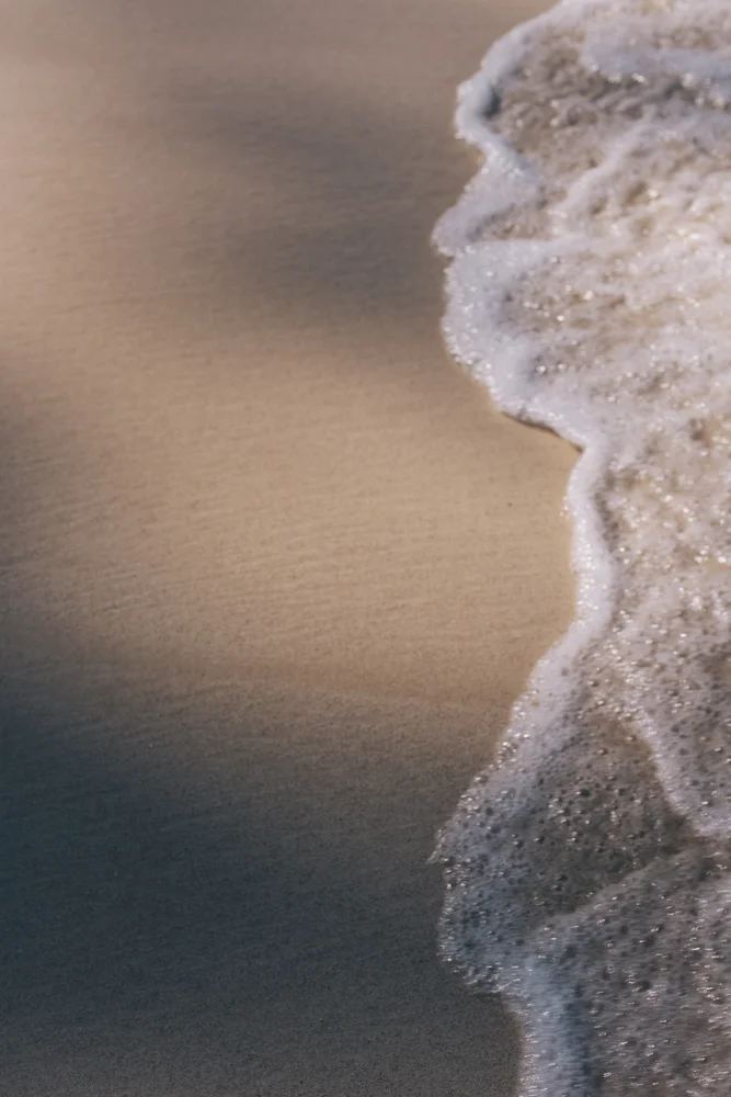 Foamy-2457.JPG