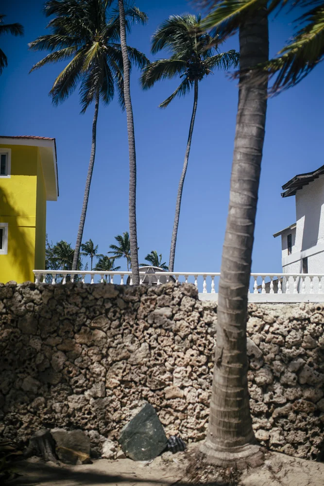 Yellow-2665.JPG