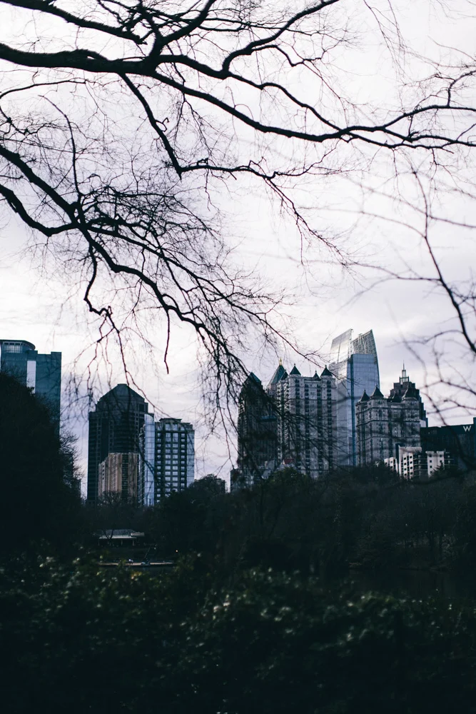 ATL-4499.JPG