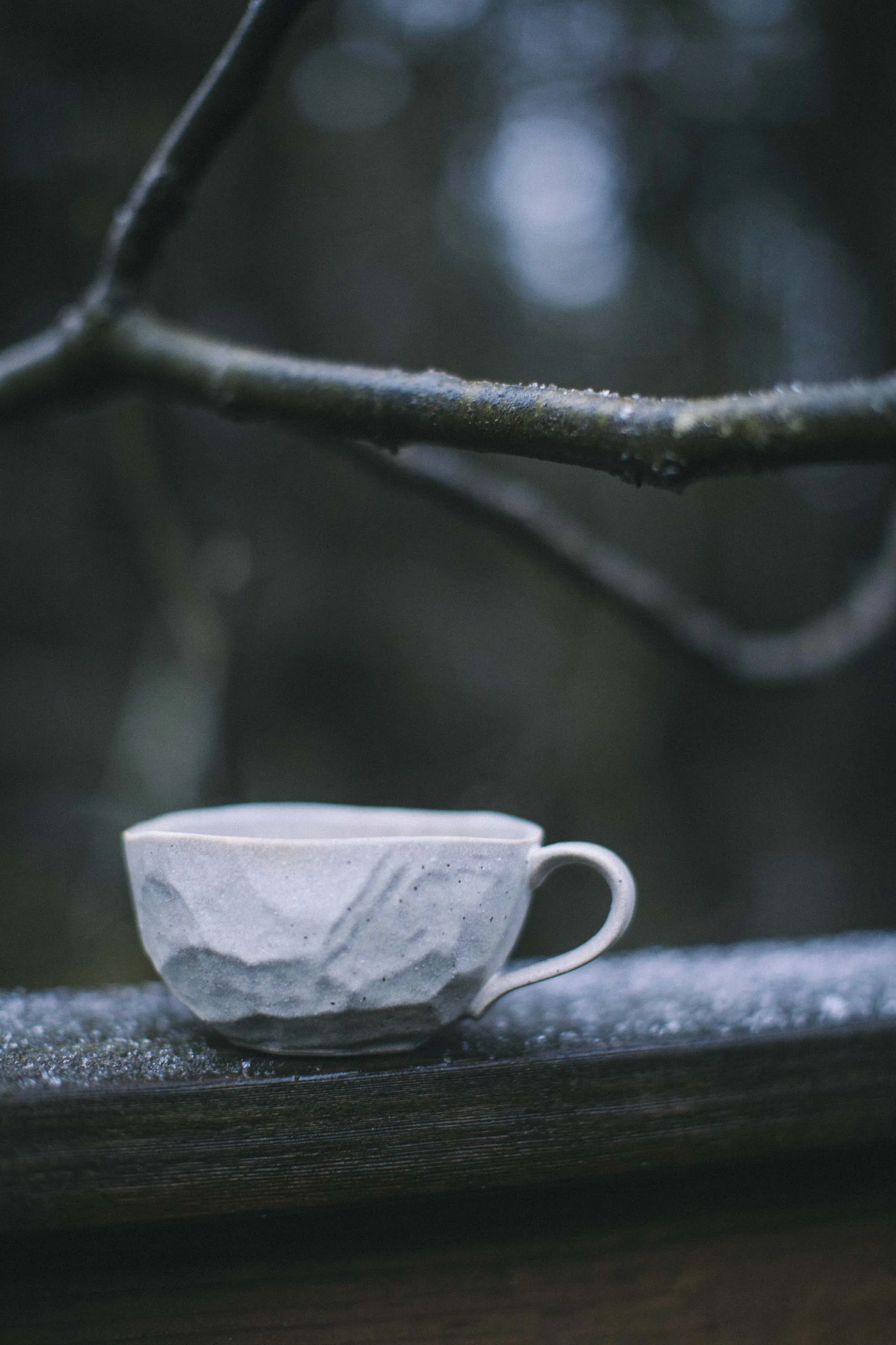 FavCup.jpg