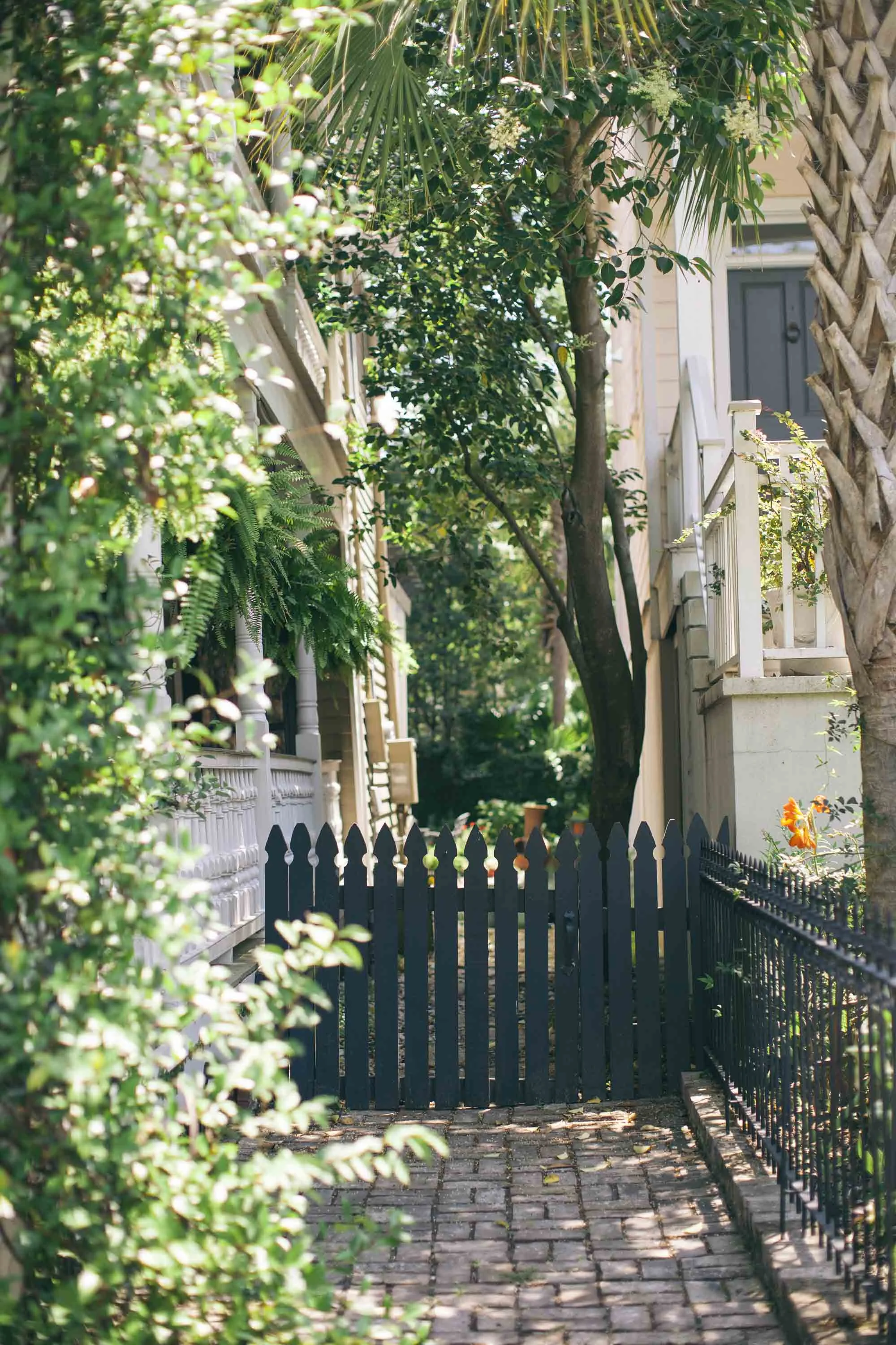 Charleston 2016-12.jpg