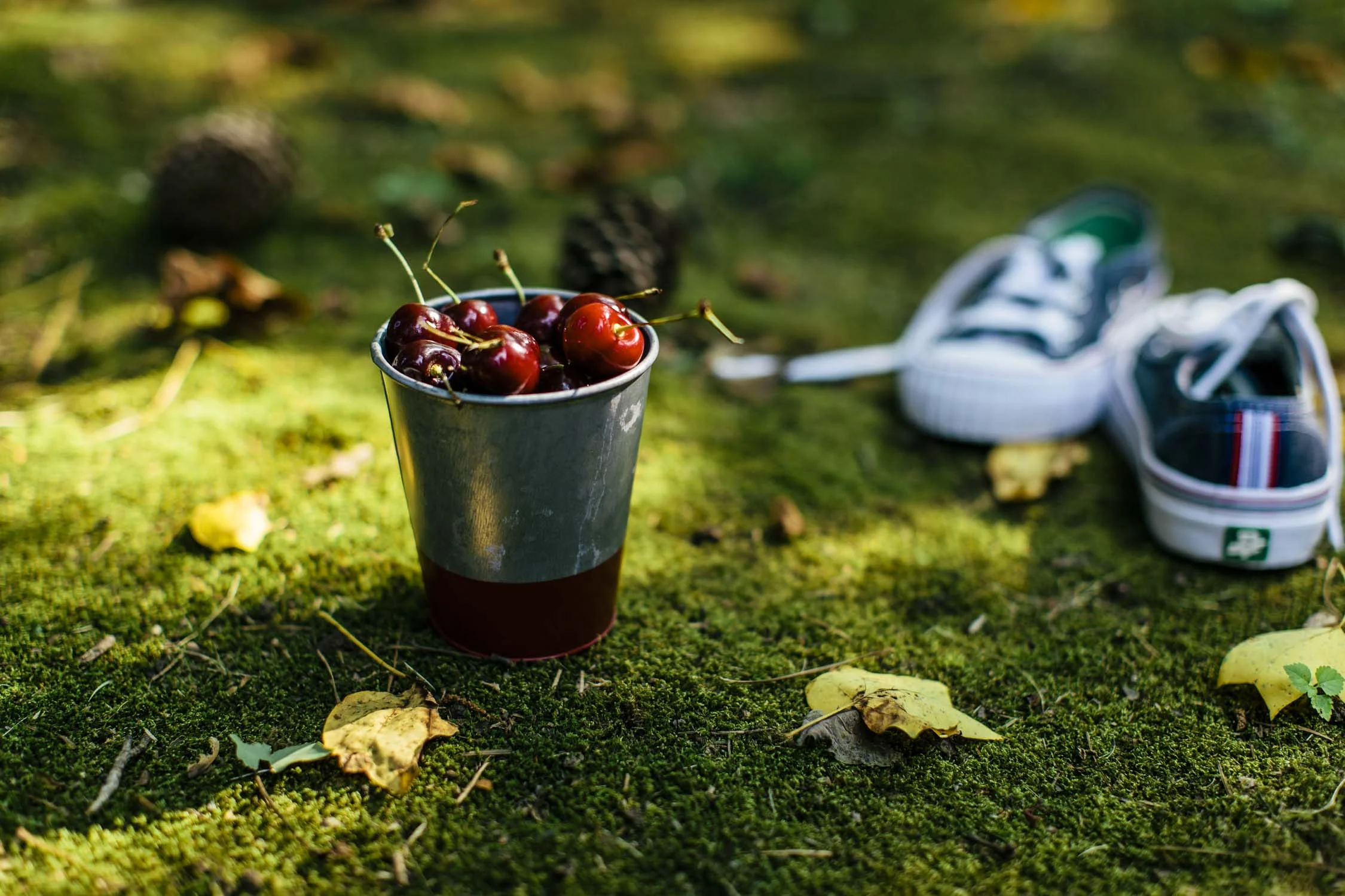 Cherries-9224.JPG