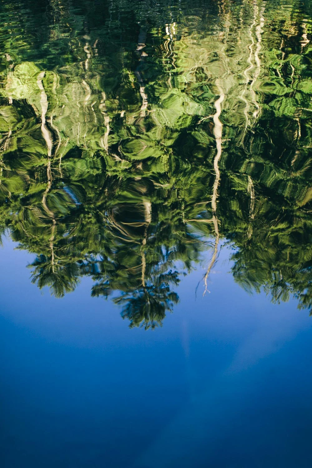 Reflect-9131.JPG