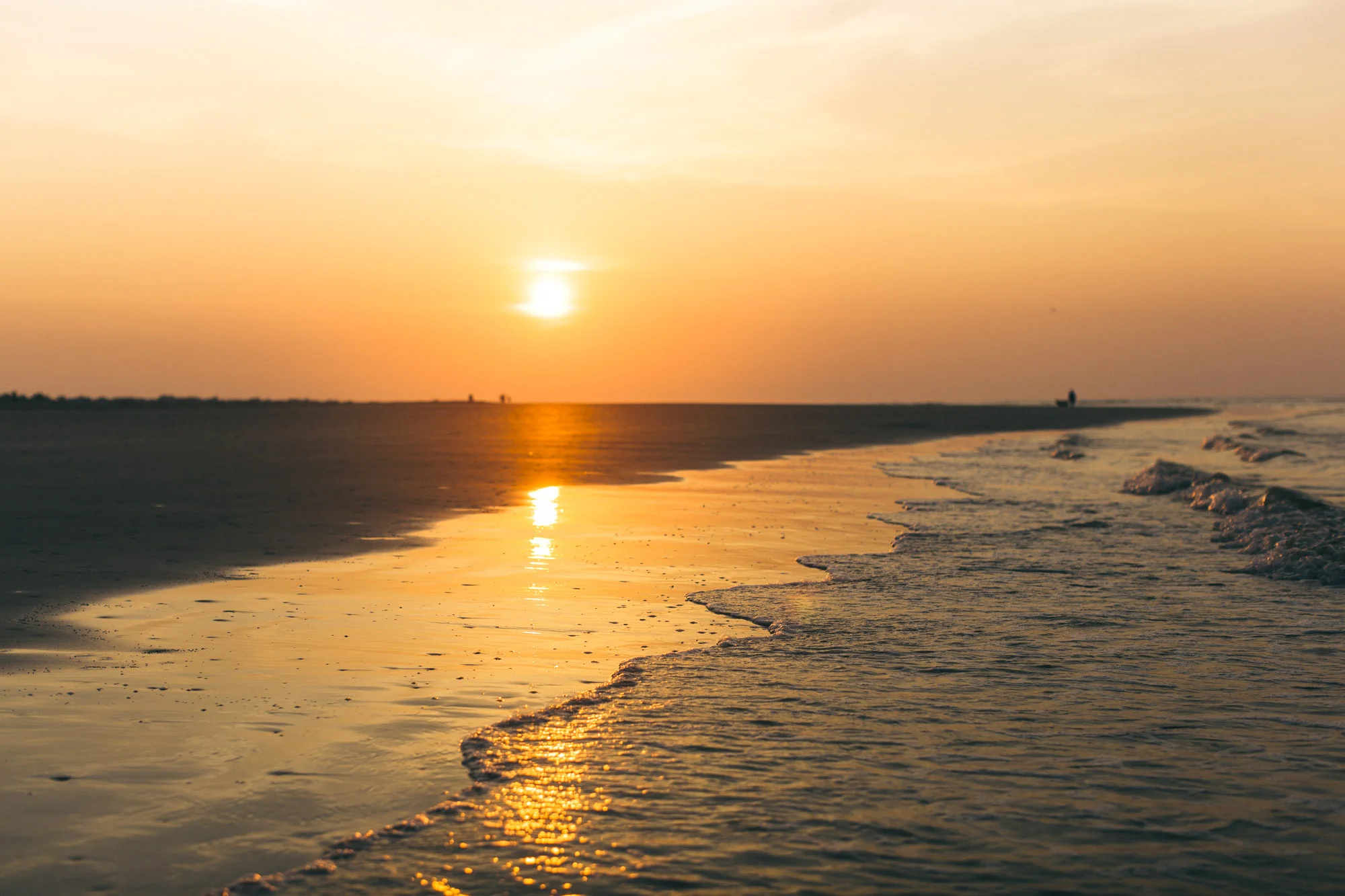 Charleston 2016-112.jpg