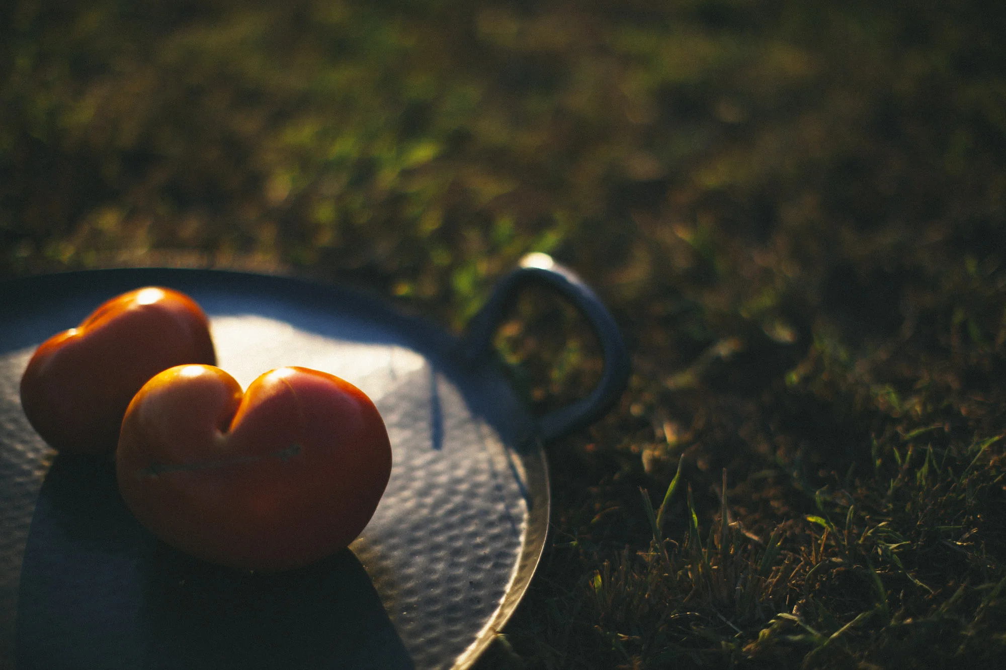 What Olya Made-14.jpg