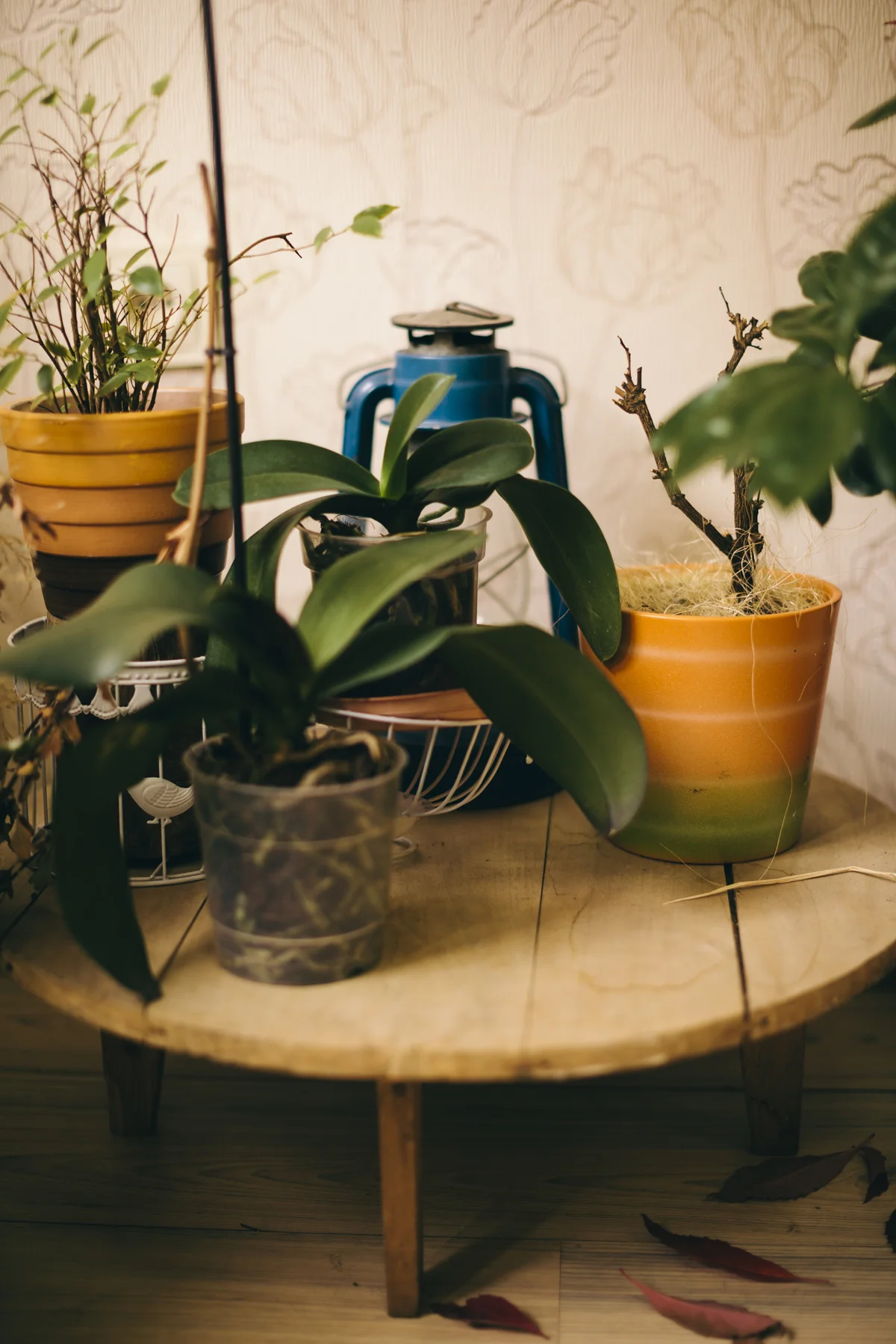 Tita's Studio-29.JPG