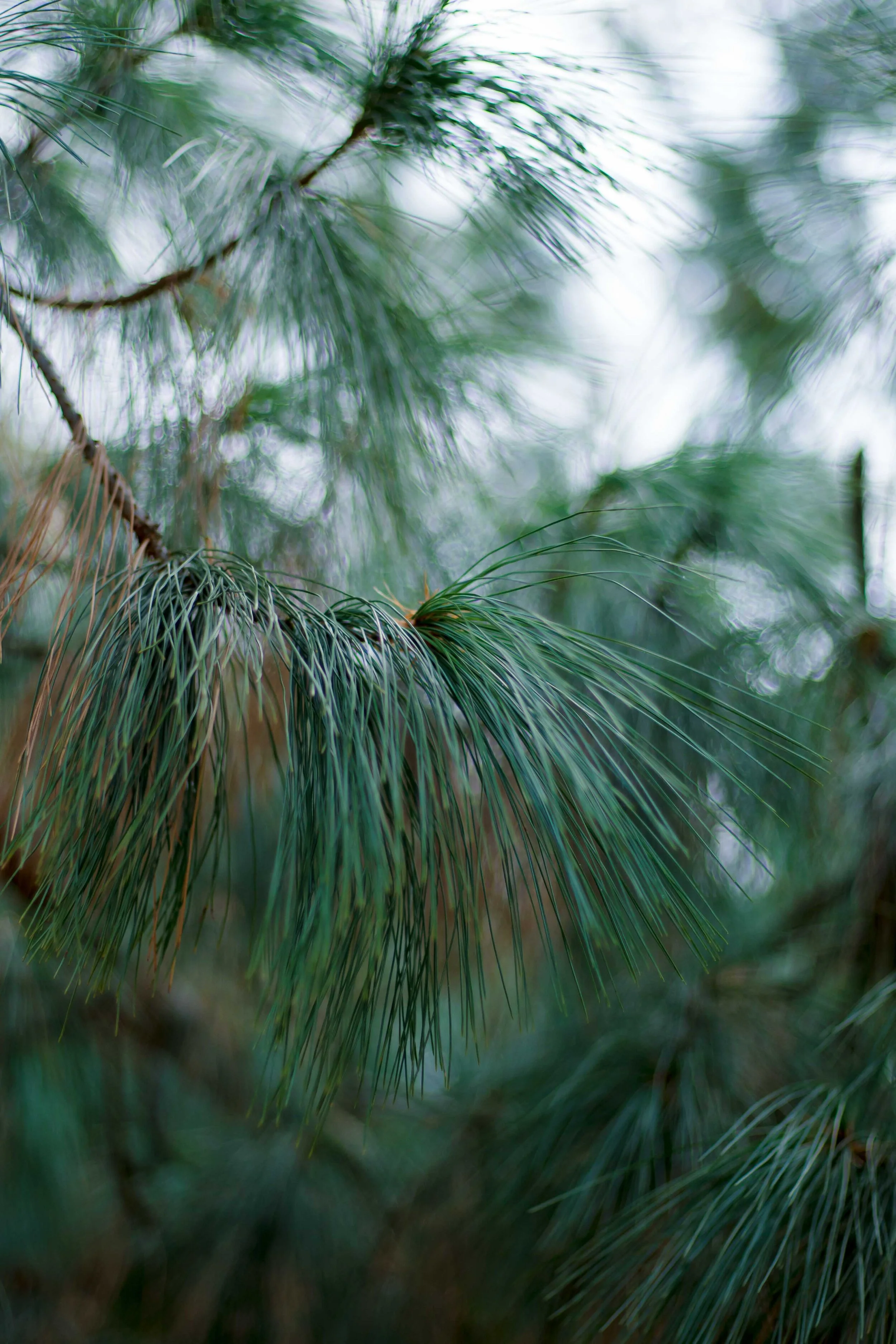 20191226-BRC09979.jpg