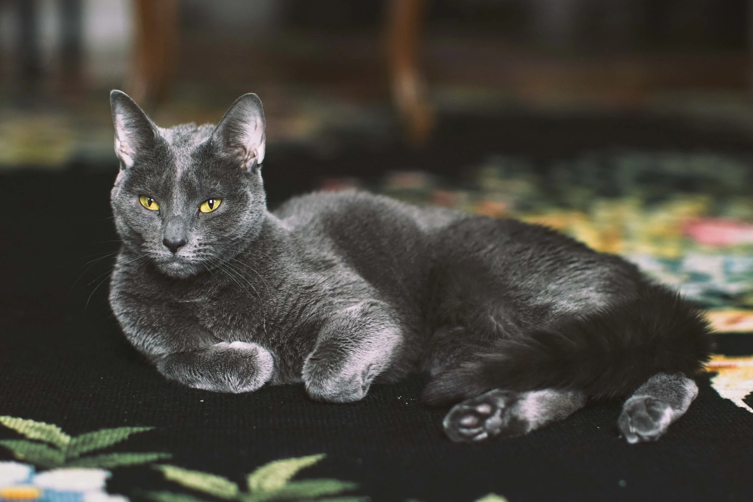 20190325-DSC04540.jpg